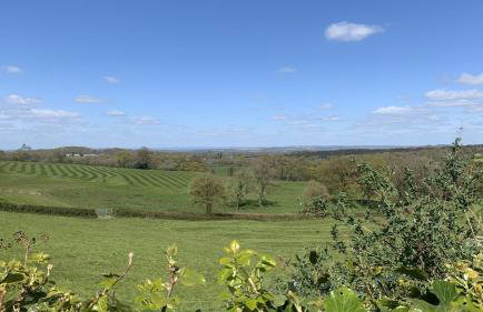 Bettys Barn - Foto 45