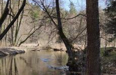 Zielony domek nad Marychą w Budwieć - Foto 45