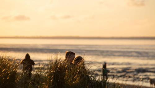 217 Schortens - Foto 2