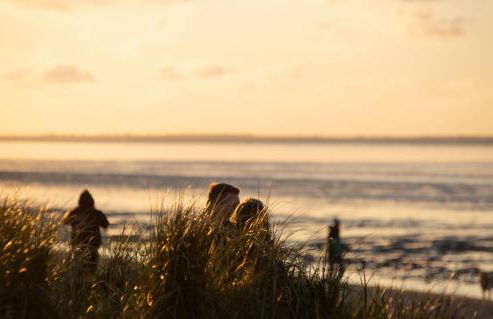 217 Schortens - Foto 2