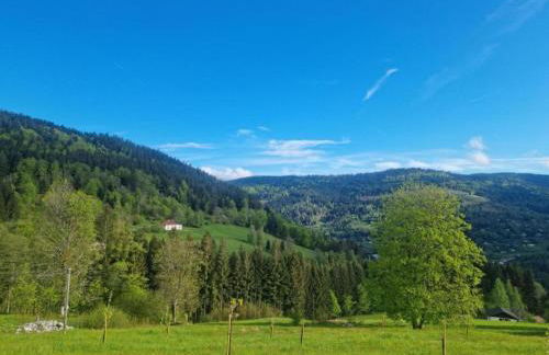 Ventron Chalet with Hill Views - Foto 34