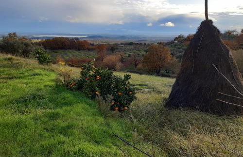 Casa rural Quinta de los Almiares - Foto 21