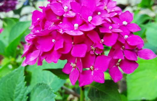 GITE ASINA chez GITE QUE CANTA - Photo 3