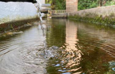 TIO TESORO - Foto 40