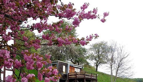 Tiny House mit Klima und Heizung, in idyllischer Ortsrandlage - Foto 4, Garden