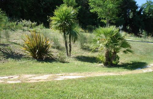 Comfortable villa lower level in Montelabbate with private pool - Photo 40