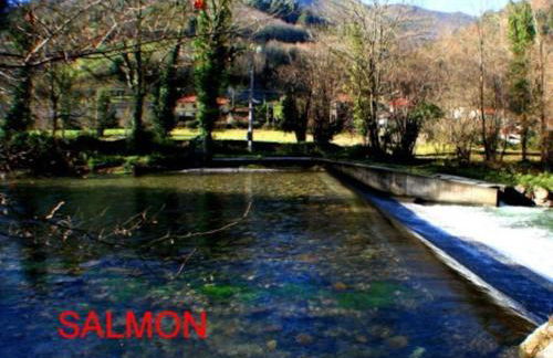 zentral club voltio-jacuzzi - Foto 43