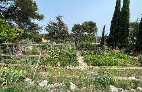 La Pujauline - Photo 21