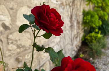 La petite Brainoise - Gîte avec salle jacuzzi 120 jets - Foto 51