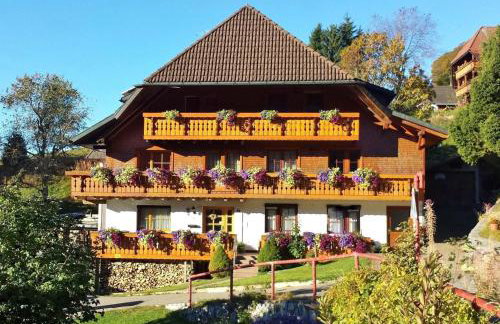 Bühlhof Todtnauberg Wohnung 3 - Foto 1