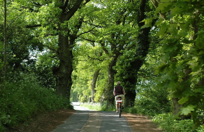 in the Holiday Home Sudstrand - Foto 12