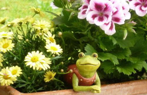 Basler - Het Kleine Vakantiegeluk - Foto 11