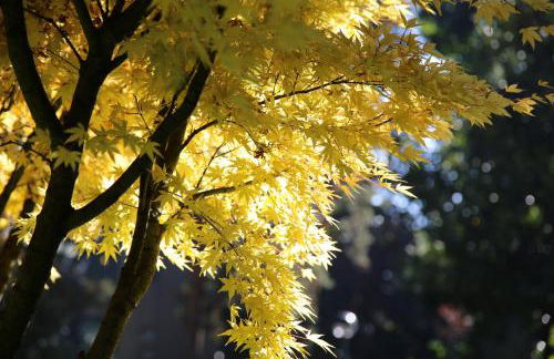 Bilocale Indipendente - Foto 13