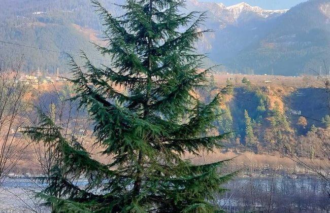 Castleton Casa - Foto 47