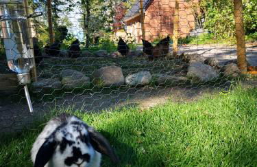 Ferienhaus Hünzingen - Foto 14