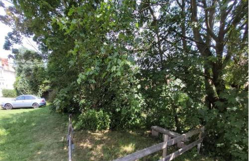 Villa Rotschoenberg im Tal der Freiberger Mulde - Foto 39