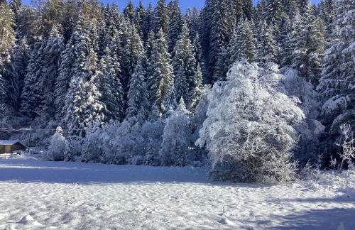 Maison Eglantine - Foto 58