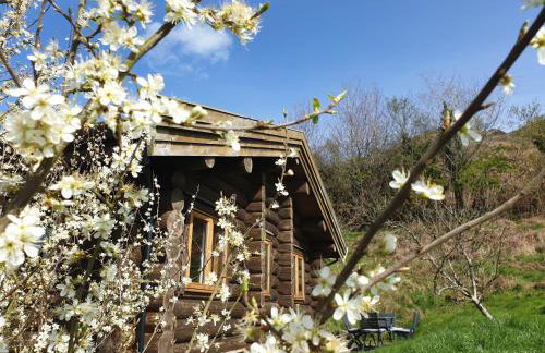 Newland Valley Log Cabins - Foto 28
