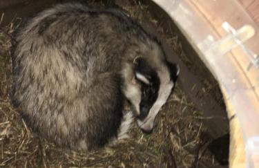 Dom w Sąpach - Foto 59