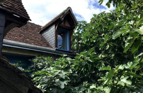 La Maison Bleue de Husseau Ancienne ferme semi-troglodytique 18e siècle - Foto 11