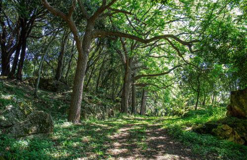 VIBE LUXURY CABINS - Foto 44