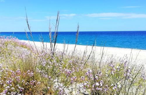 Panoramico, in villa, grande, con ampie terrazze - Foto 7