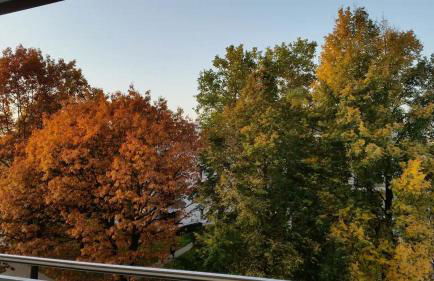 HomeSweetHome Free Parking Wifi Elevator Balcony - Foto 35