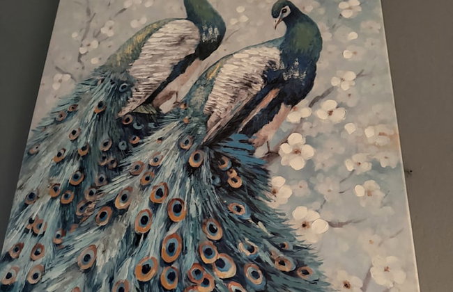 Montego Bay Ironshore Luxury Studios - Foto 19