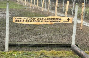 Zawilcowa Dolina - Foto 6