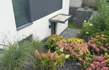 Neue , Schöne 3 Zimmer Wohnung in Dresden - Foto 23