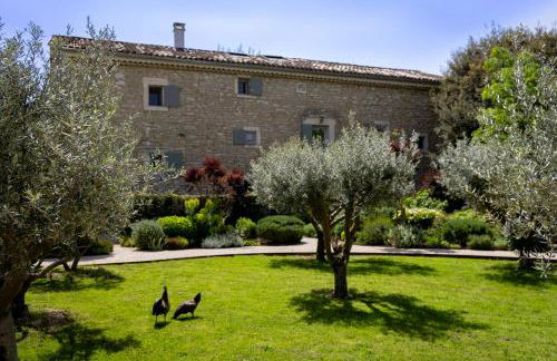 Mas des Cèdres - Photo 24