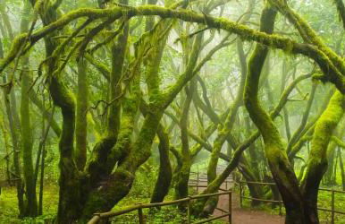 Casa Rural El Arenal - Foto 68