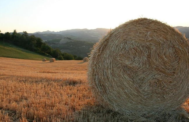 Re Piano appartamento Le Colline - Foto 39