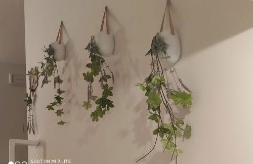 La Casa di LEO - Apartments - Foto 33