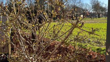 Apartment Wat Moi - Foto 2