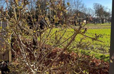 Apartment Wat Moi - Foto 2