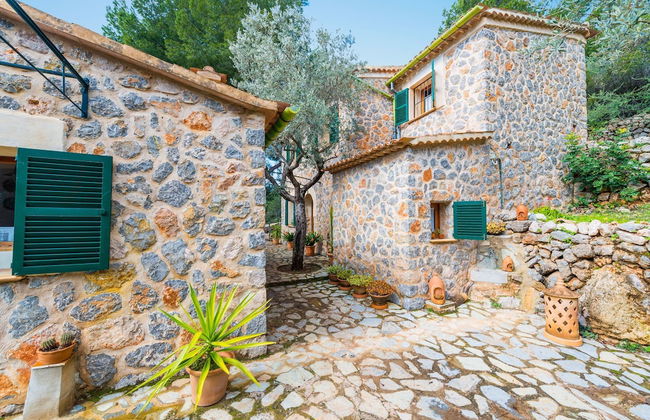 S Olivaret Fornalutx - Photo 19