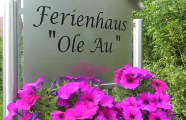 Ferienhaus "Ole Au", Ferienwohnung, Monteure, Unterkunft, Office - Foto 2