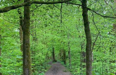 Keepers Cottage Serviced Accommodation Yorkshire - Foto 37