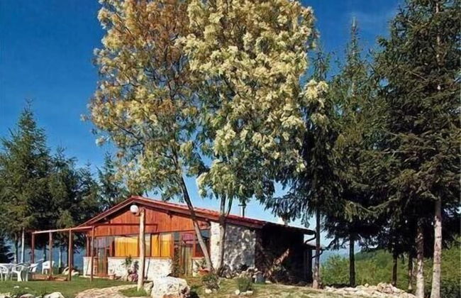 Agriturismo Summer - Foto 45