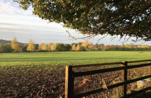 The Little Red Lion Thorpe - Foto 14