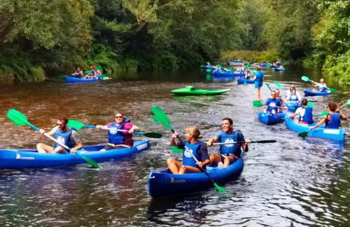 Apartamentos El Guindal - Foto 56