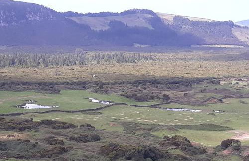 Vivenda Areias - Photo 41