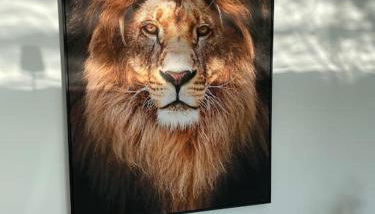 Villa Princesse neuve & grand standing ! - Photo 4