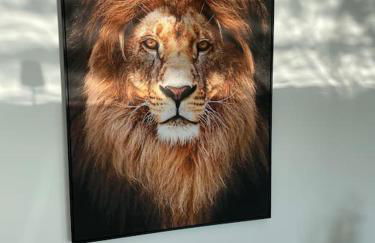 Villa Princesse neuve & grand standing ! - Photo 4