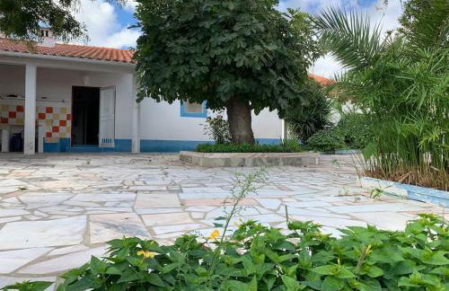 Casa dos Pécoxinhos - Photo 60