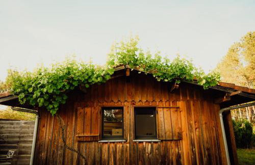 La Fournière de Jean - La Téouleyre - Foto 25