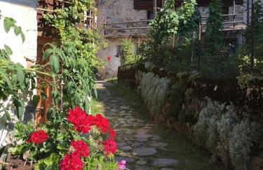 CASA BERNARD Zortea VANOI cuore verde del Trentino - Foto 22