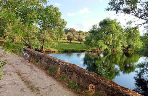 Retiro da cegonha - Foto 12