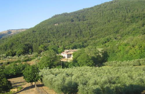 Agriturismo Il Ponticello - Foto 46